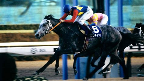 1990馬|生年[1990]の競走馬検索結果｜競馬データベー